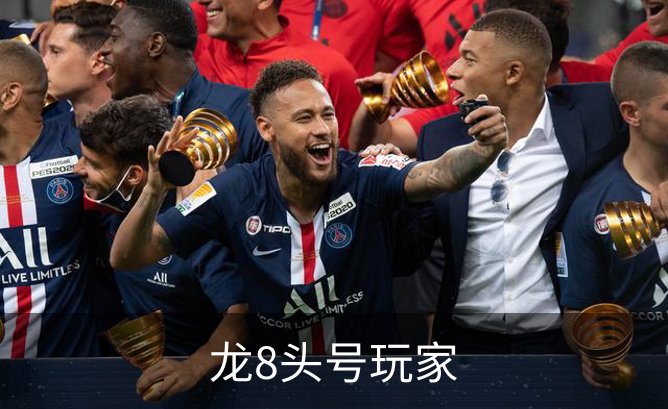 龙8头号玩家品牌故事